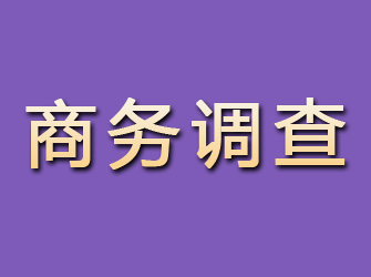 赣县商务调查